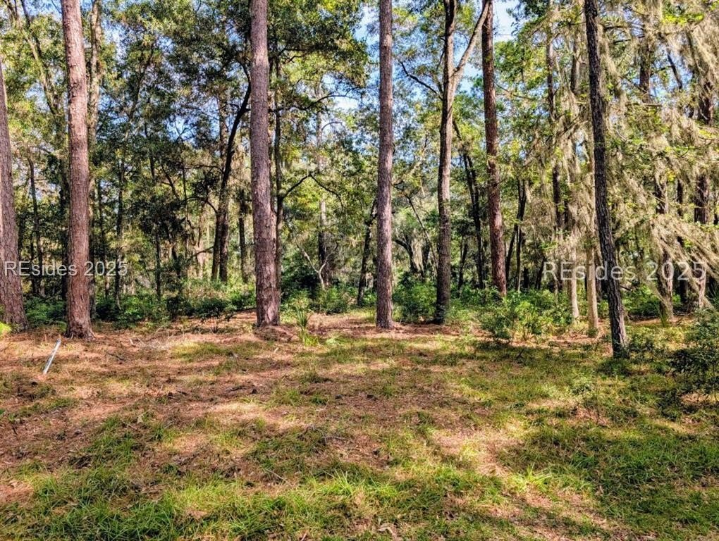 Other - 48 Volunteers Ridge, Daufuskie Island, SC