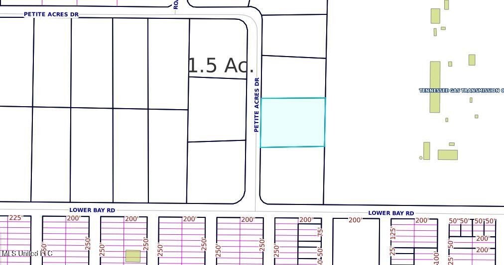 Single Family - Petite Acres Drive, Bay Saint Louis, MS