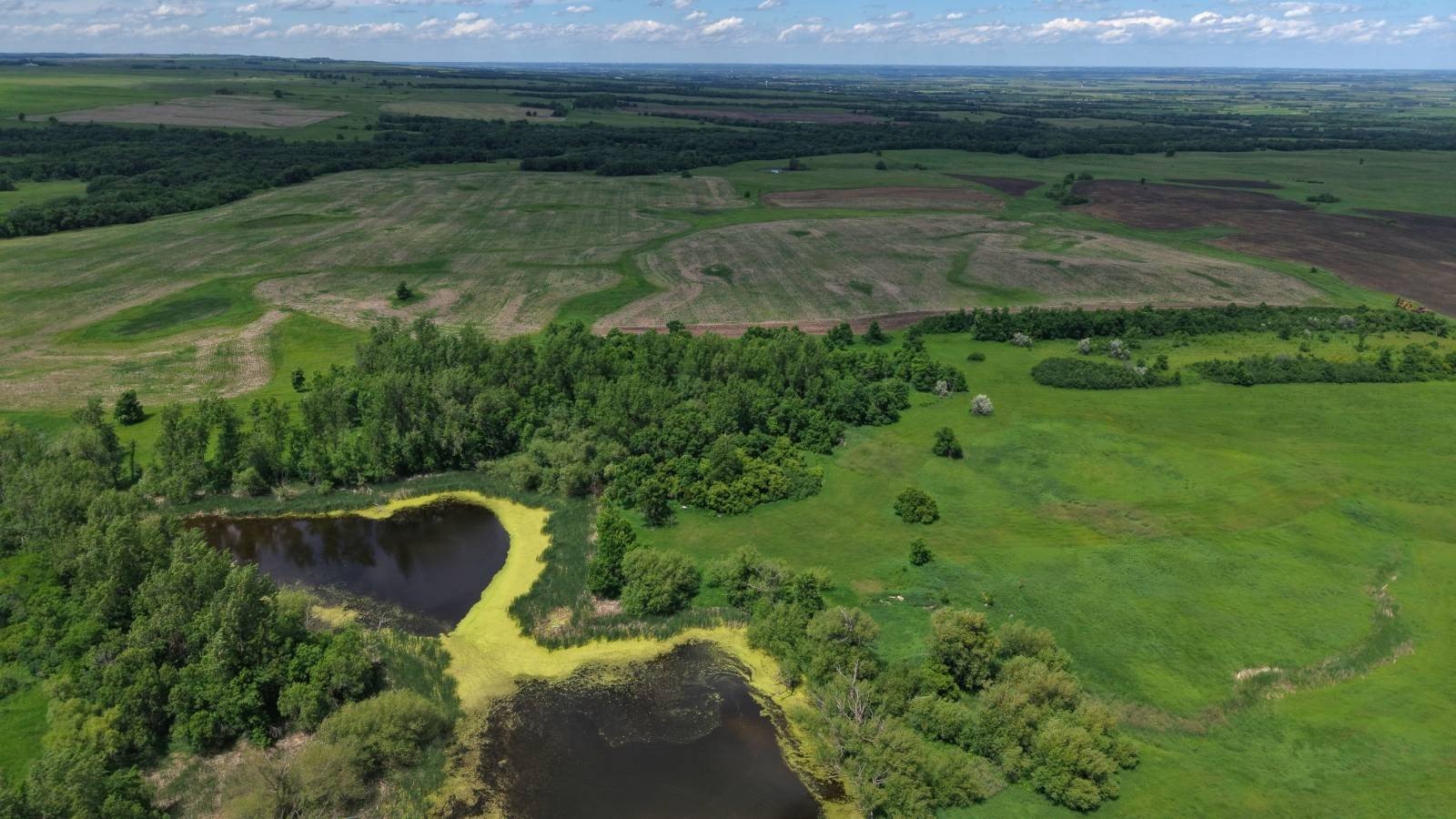 Other - 440 Acres Roberts Co., Sisseton, SD
