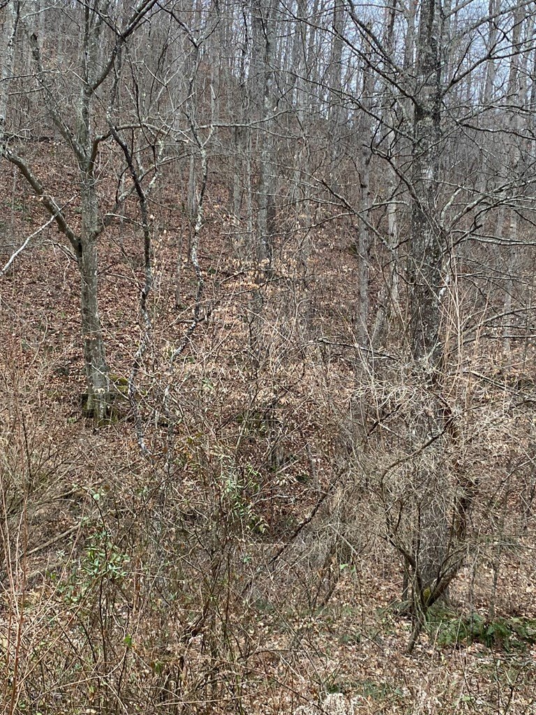 Other - 0 Cow Creek (Map 015-00-00-027), Salyersville, KY