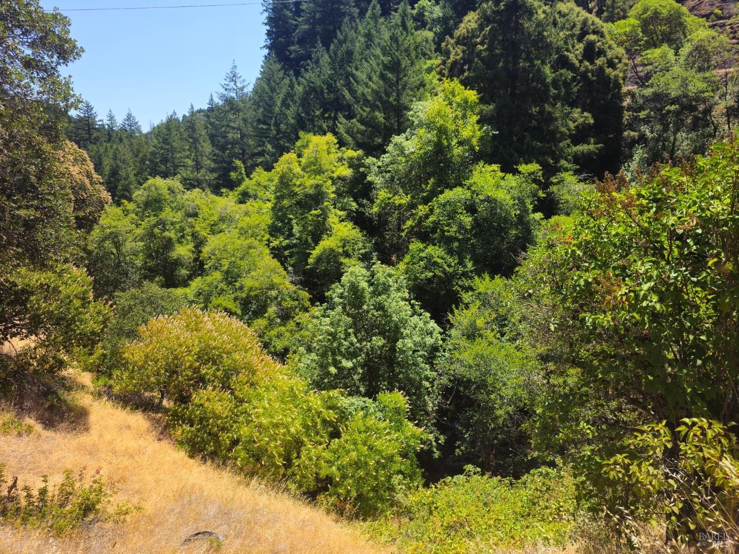 Single Family 1BR 1BA - 58901 Hwy 101 Highway, Leggett, CA