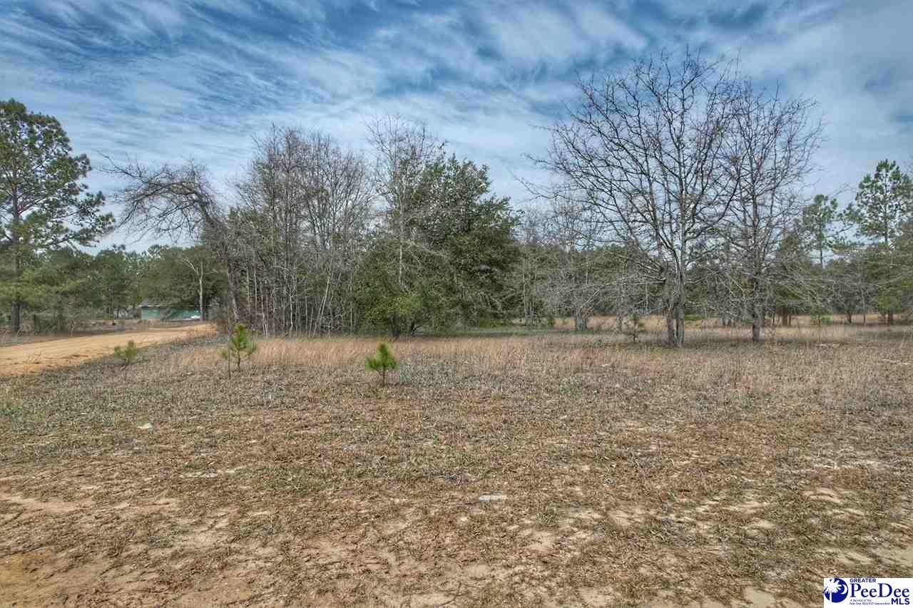 Plots and Land - TBD Ozelma Drive, Dillon, SC