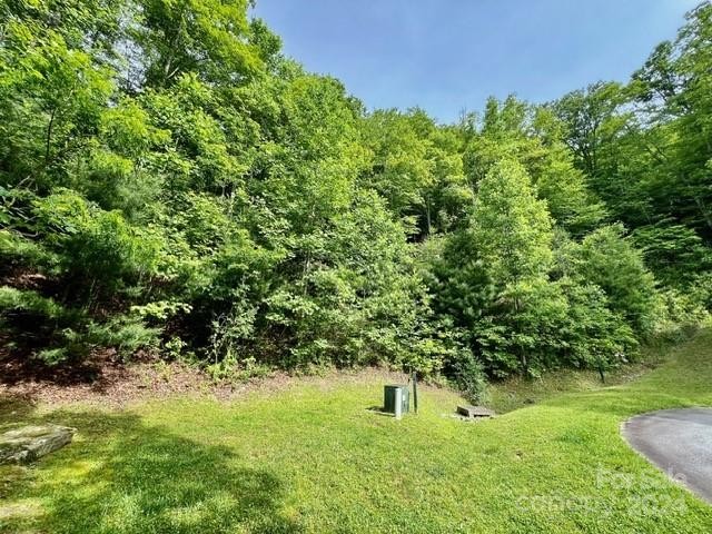 Other - 271 Mountain Morning Lane, Hendersonville, NC