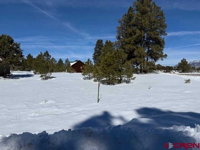 Single Family - 19 Monte Vista, Pagosa Springs, CO