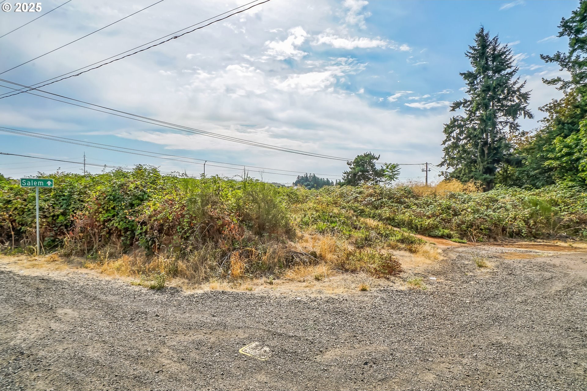 Single Family - NW Doaks Ferry Rd, Salem, OR