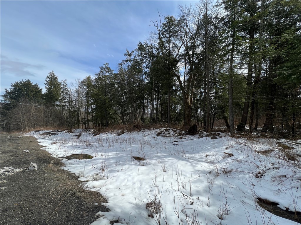 Other - Burdick Hill Road lot: 2 And 3, Otego, NY
