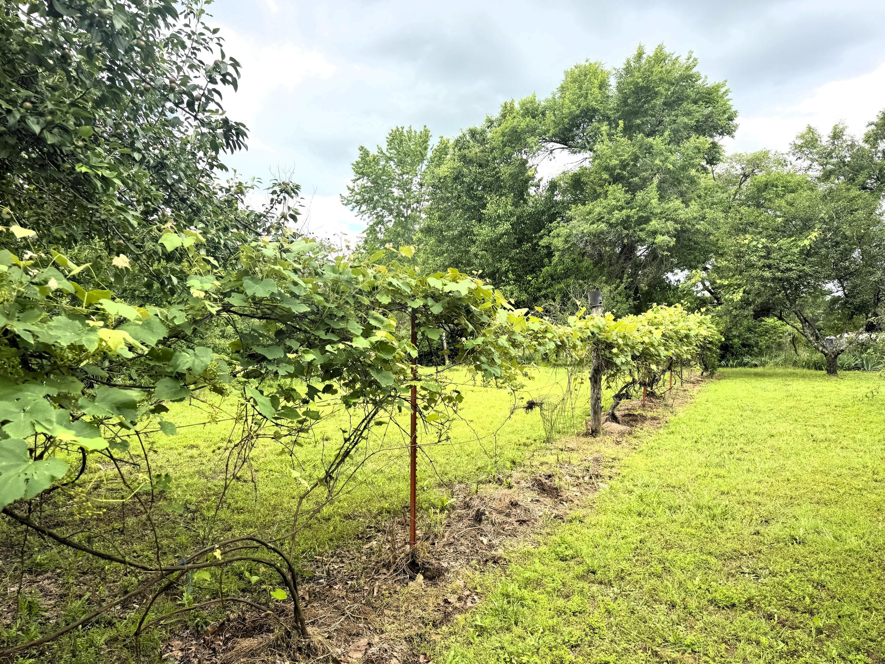 20685 E Hwy M  
