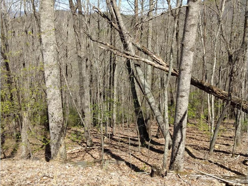 Other - M99 Sleepy Hollow Road, Ellijay, GA