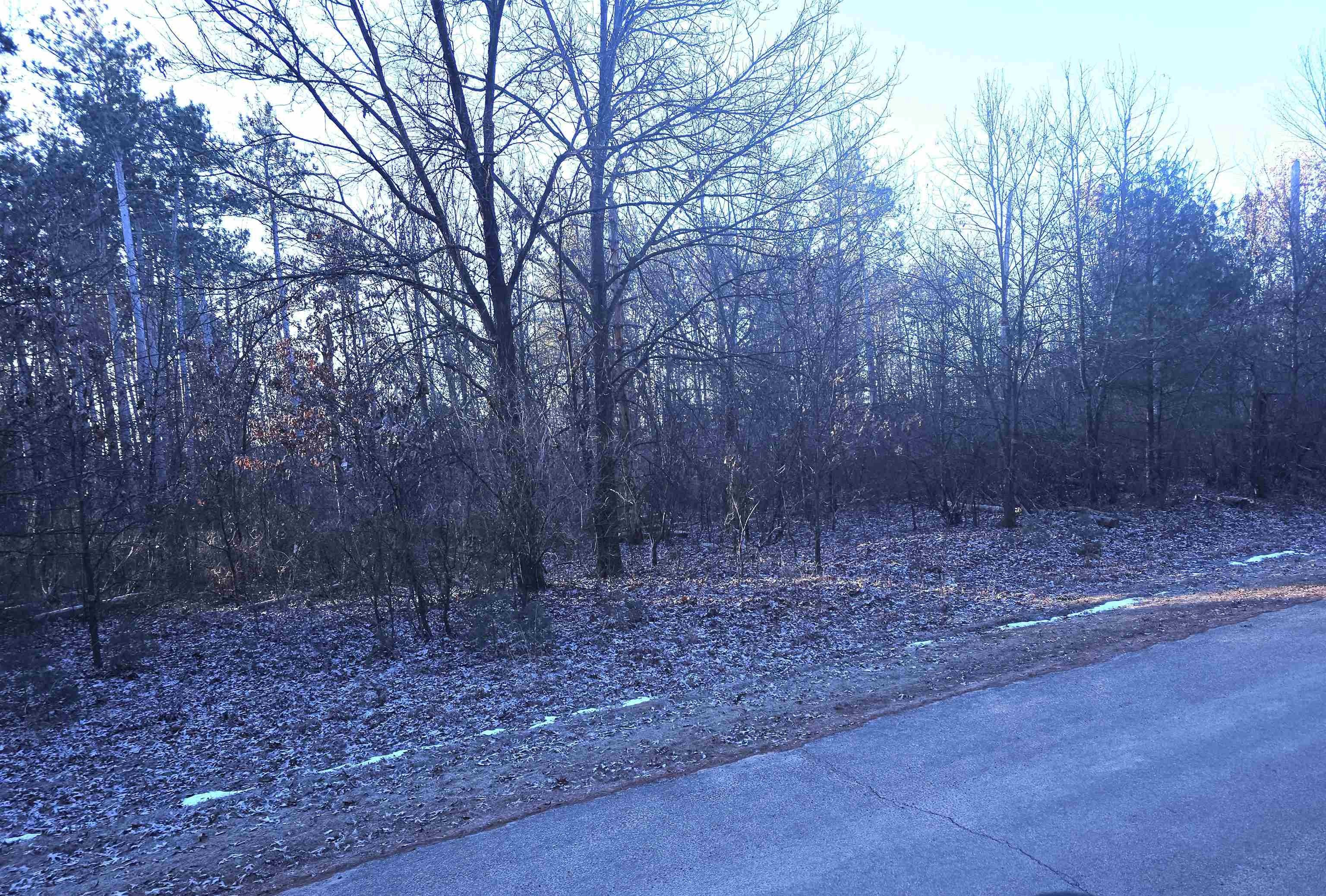Other - 1.22 Ac Flowage Road, Spring Green, WI