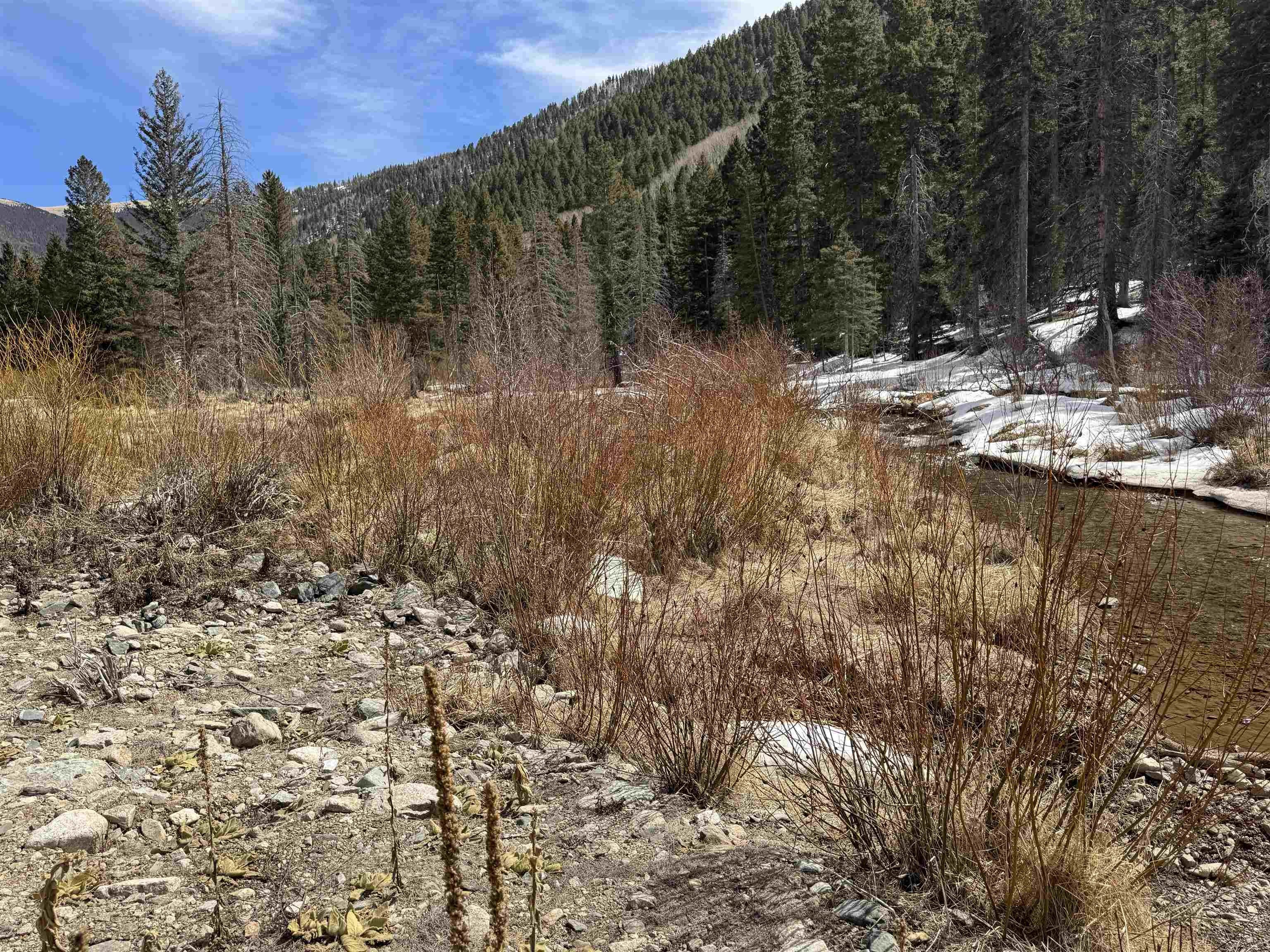 Other - 1325 Highway 150, Taos Ski Valley, NM