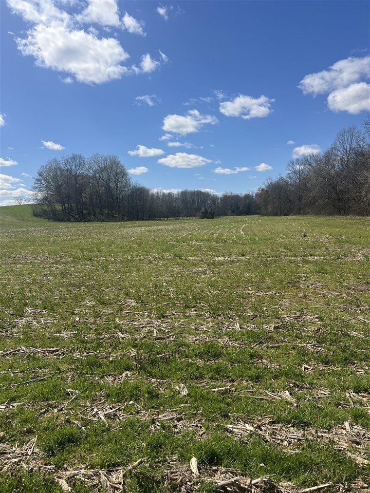 Other - 99.05 Acres Denton Road, Smiths Grove, KY