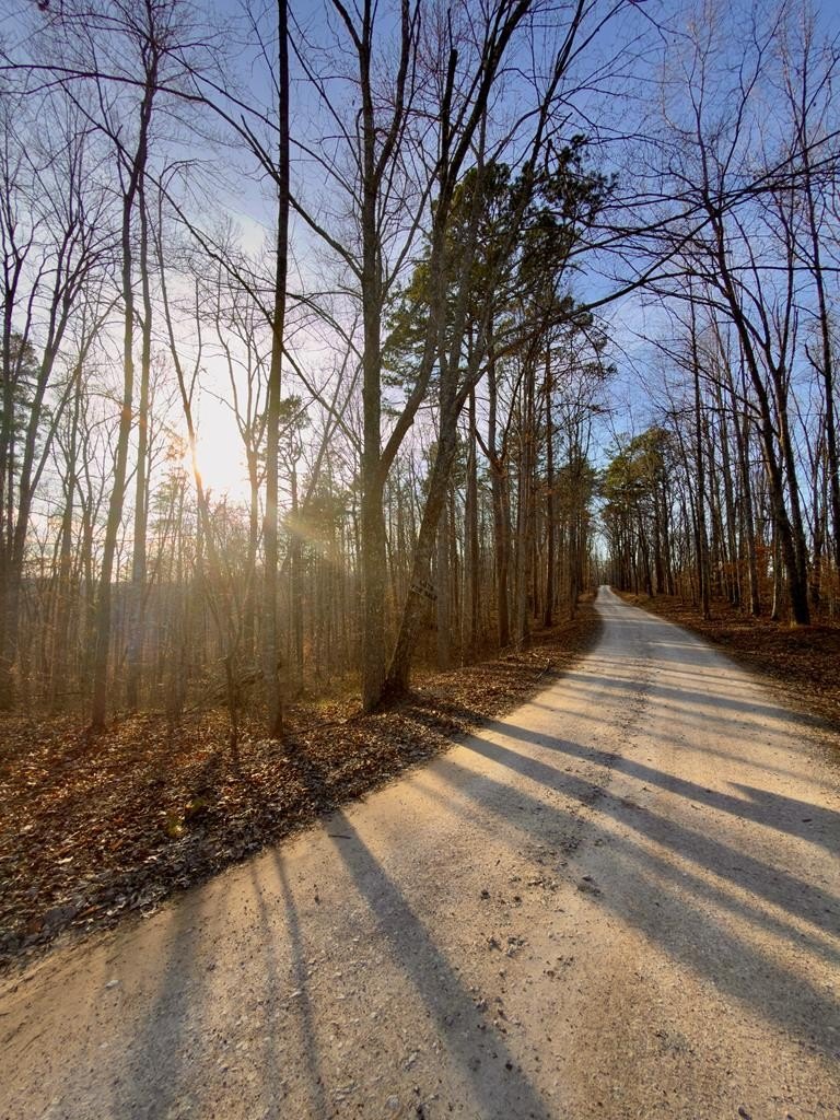 Other - 00 Muddy Ridge Rd, Adams, KY