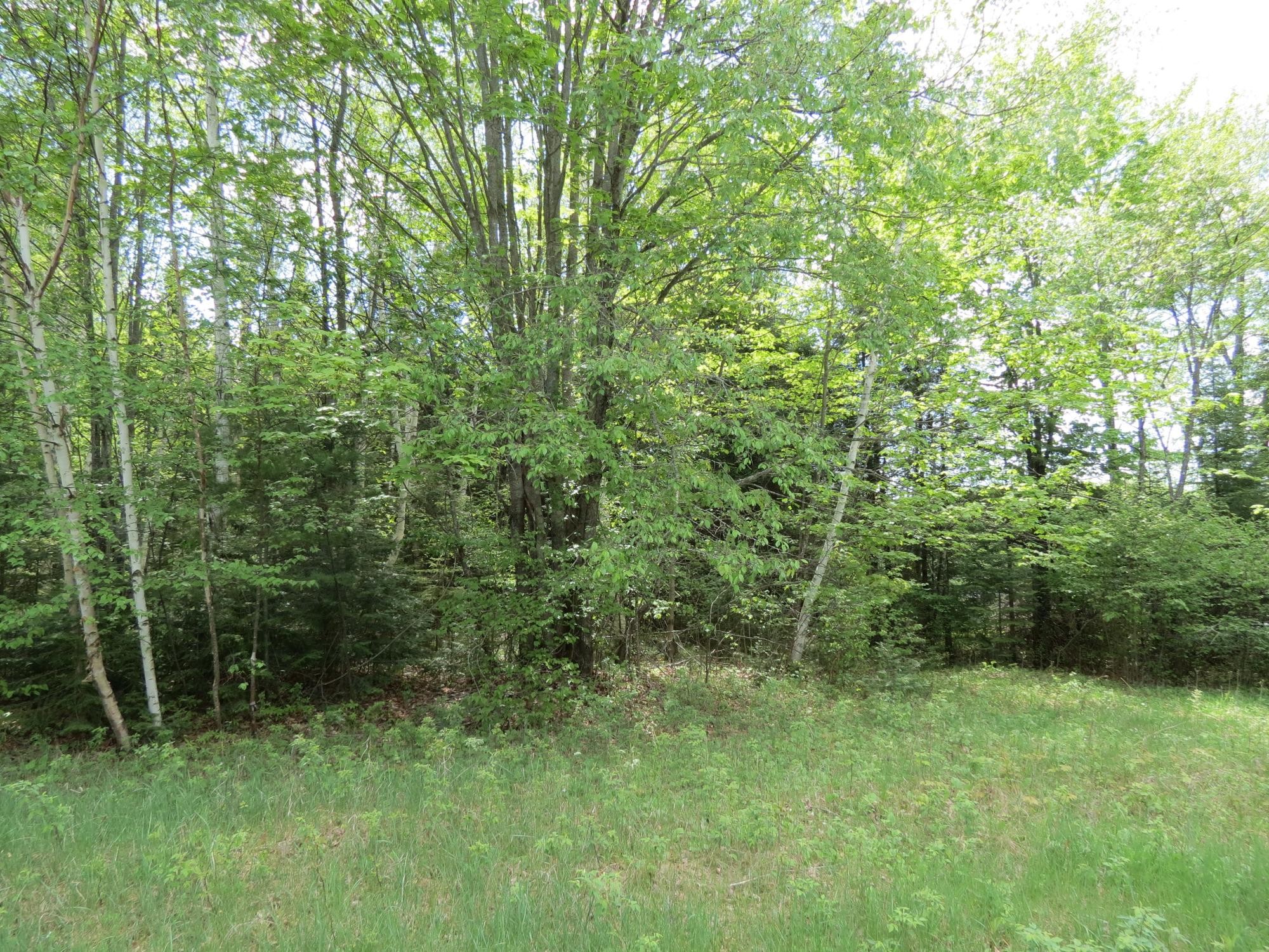 Lot 1 SAND COVE POINTE RD