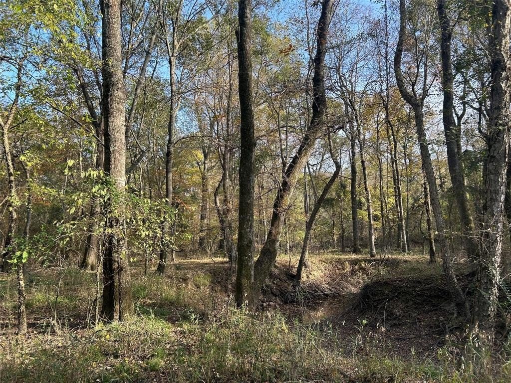Other - COUNTY ROAD 1412, Bogata, TX