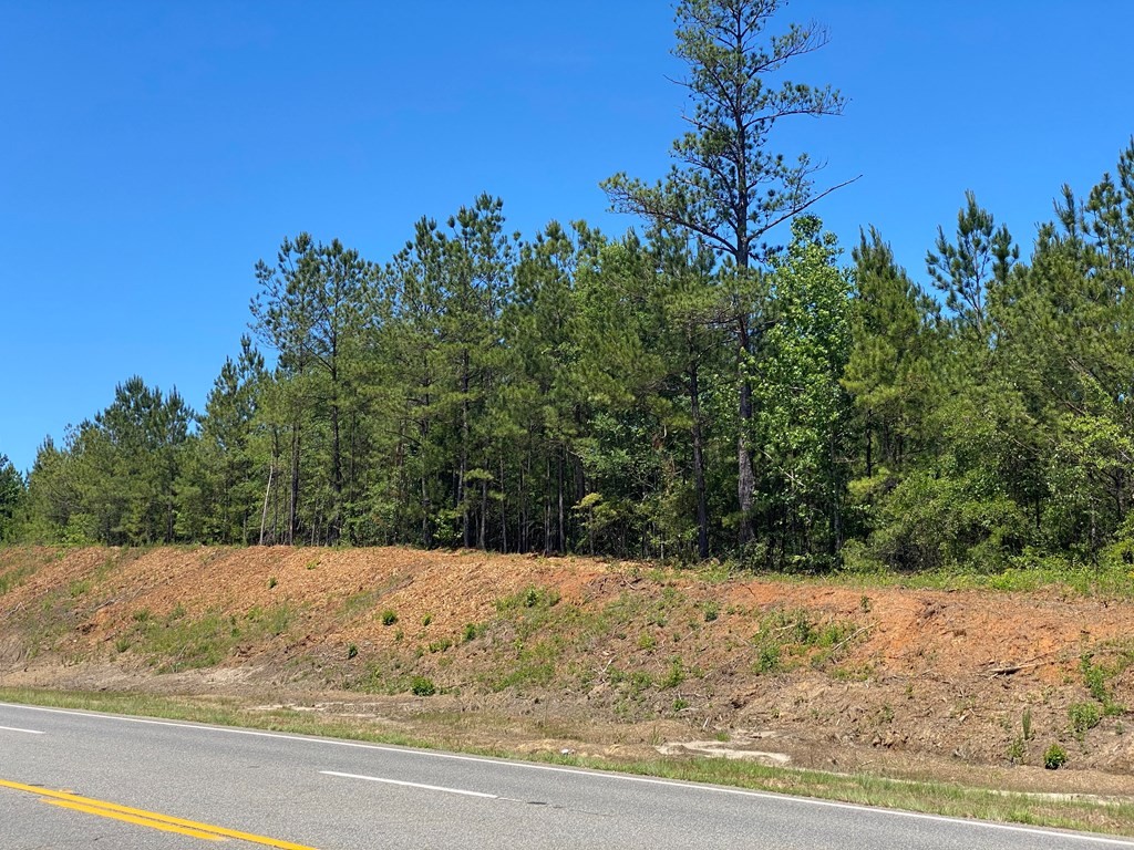 Other - Ga Highway 0026, Buena Vista, GA