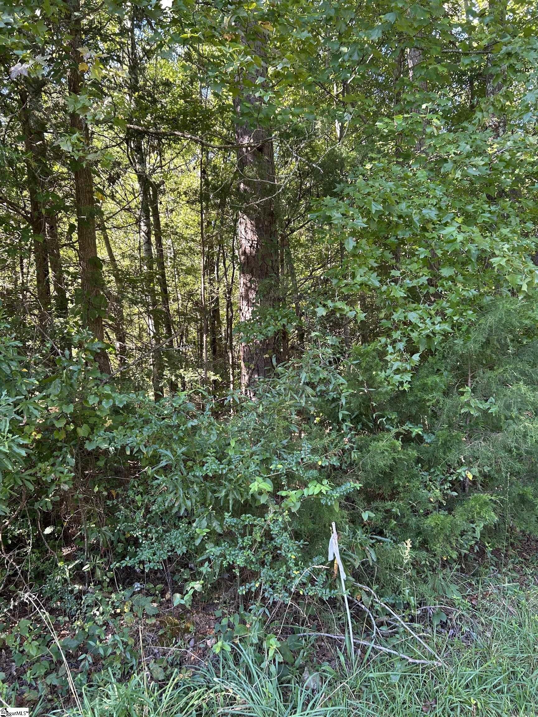 Other - Sparkstown Drive, Union, SC
