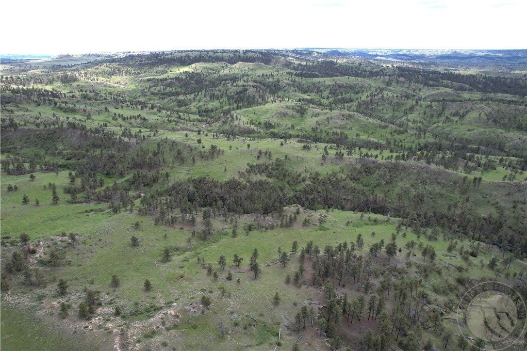 Other 6BR - County Rd 147A, Custer, MT