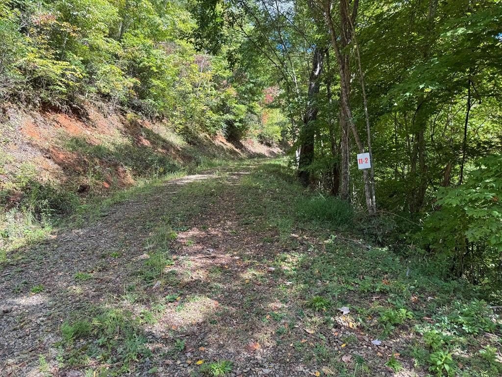 Other - #11-2&12 Tree Top Drive, Hayesville, NC