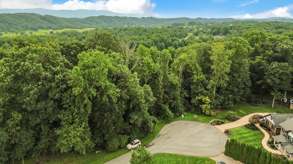 Other - Stonewall Ridge Lot #32 lot: 32, Bristol, VA