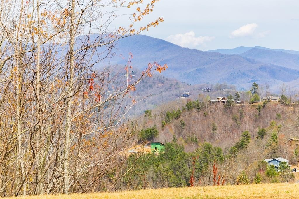Other - Butternut Ridge lot: 6, Bryson City, NC