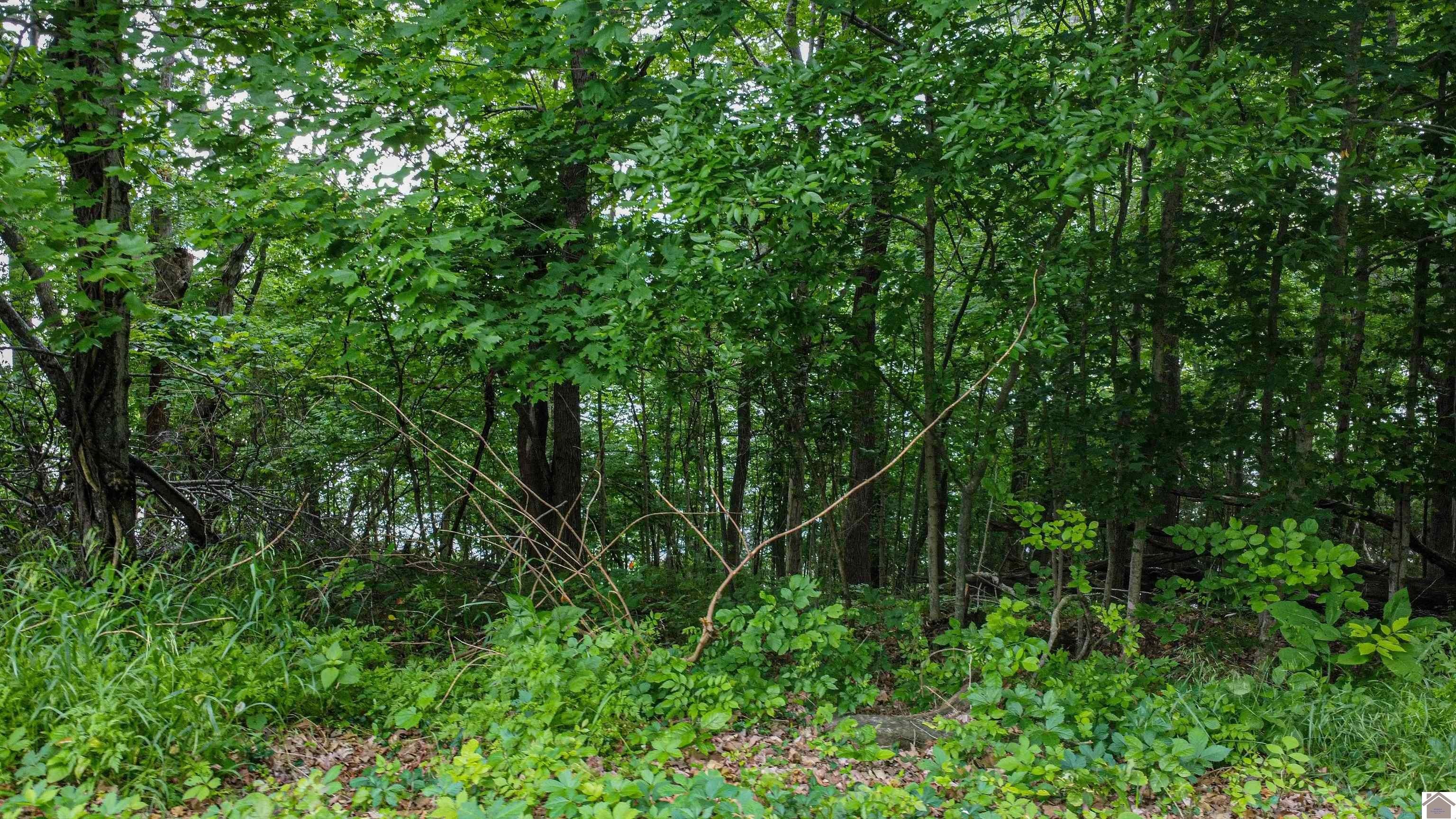 Other - lot 6 & 7 Palisades Subdivision, Eddyville, KY