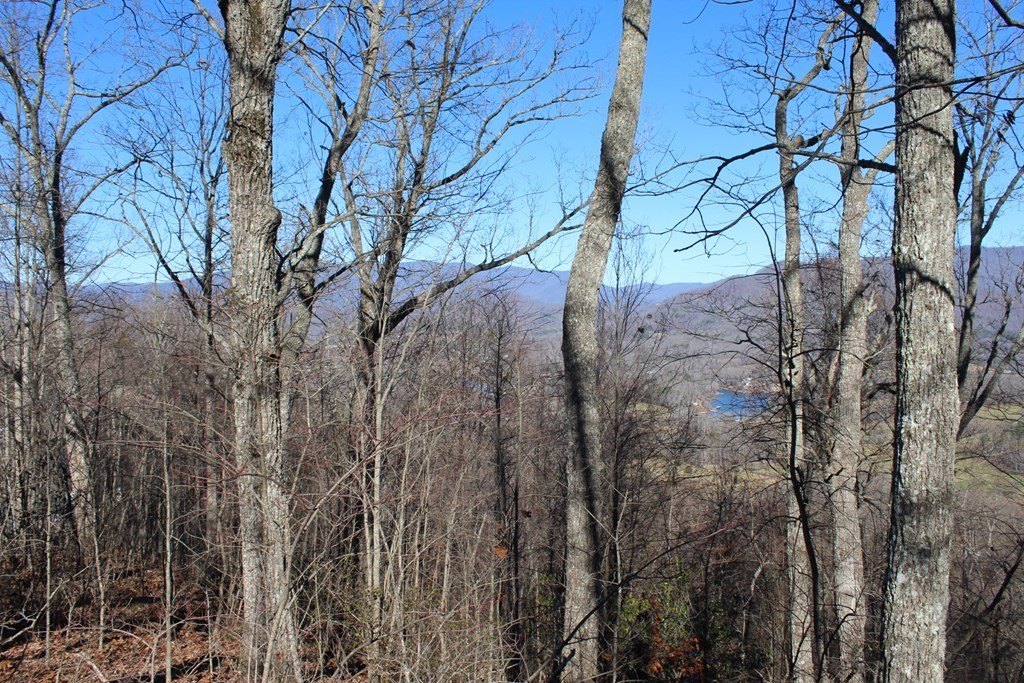 Other - Lot 33 Eagles View, Hayesville, NC