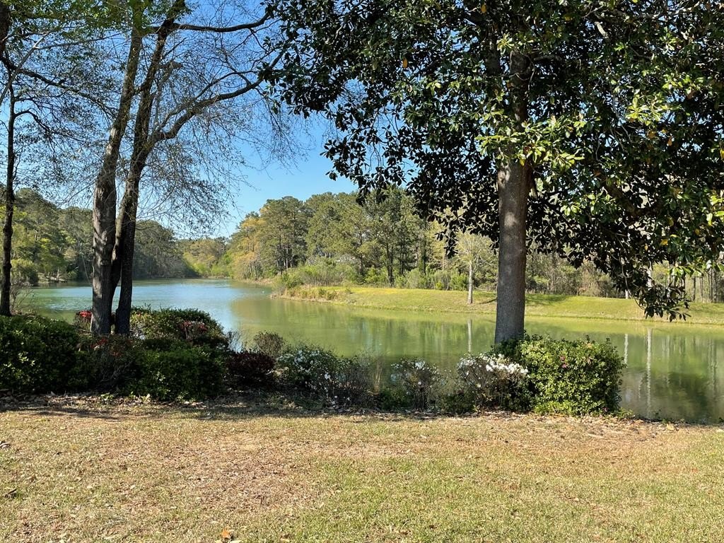 Single Family - 117 Mulberry Lane, Headland, AL