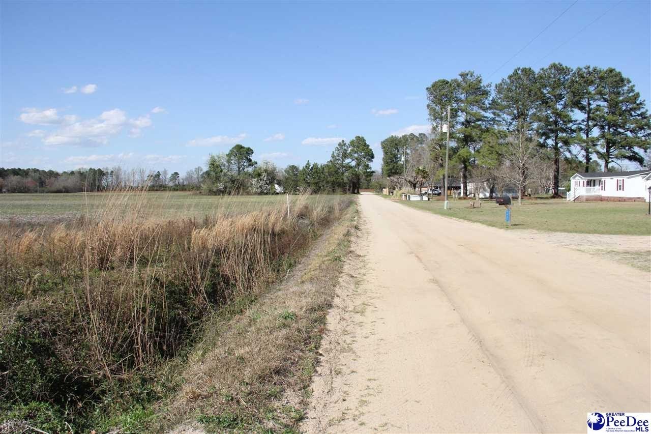 Manufactured Housing - TBD Country Manor  RD, Lamar, SC