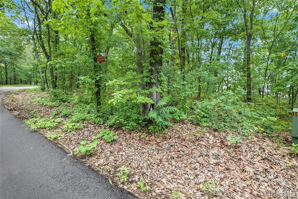 Other - 9.41 Acres Clermont Drive, Festus, MO