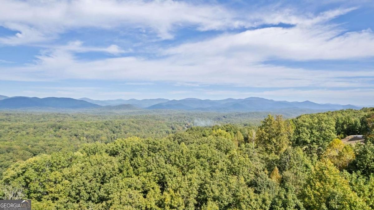 Plots and Land - 4092 Helen HWY, Cleveland, GA