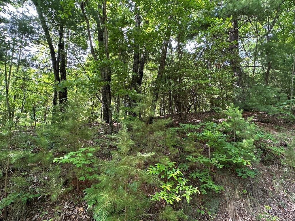 Other - Lot 31 Peak Trail, MURPHY, NC