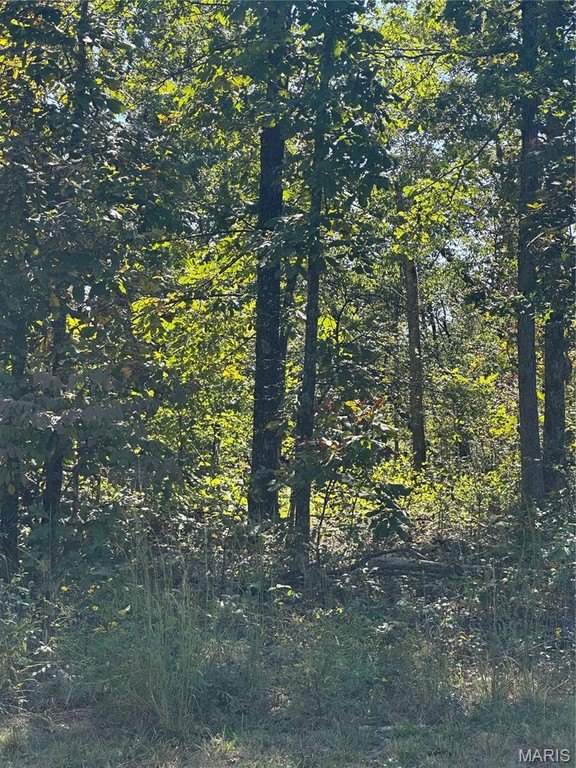 Other - 0 142E-24B, Doniphan, MO