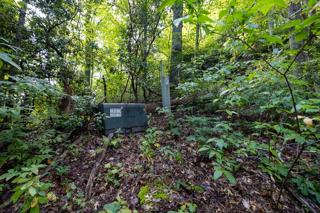 Other - S Cliff Rd lot: 18, Cullowhee, NC
