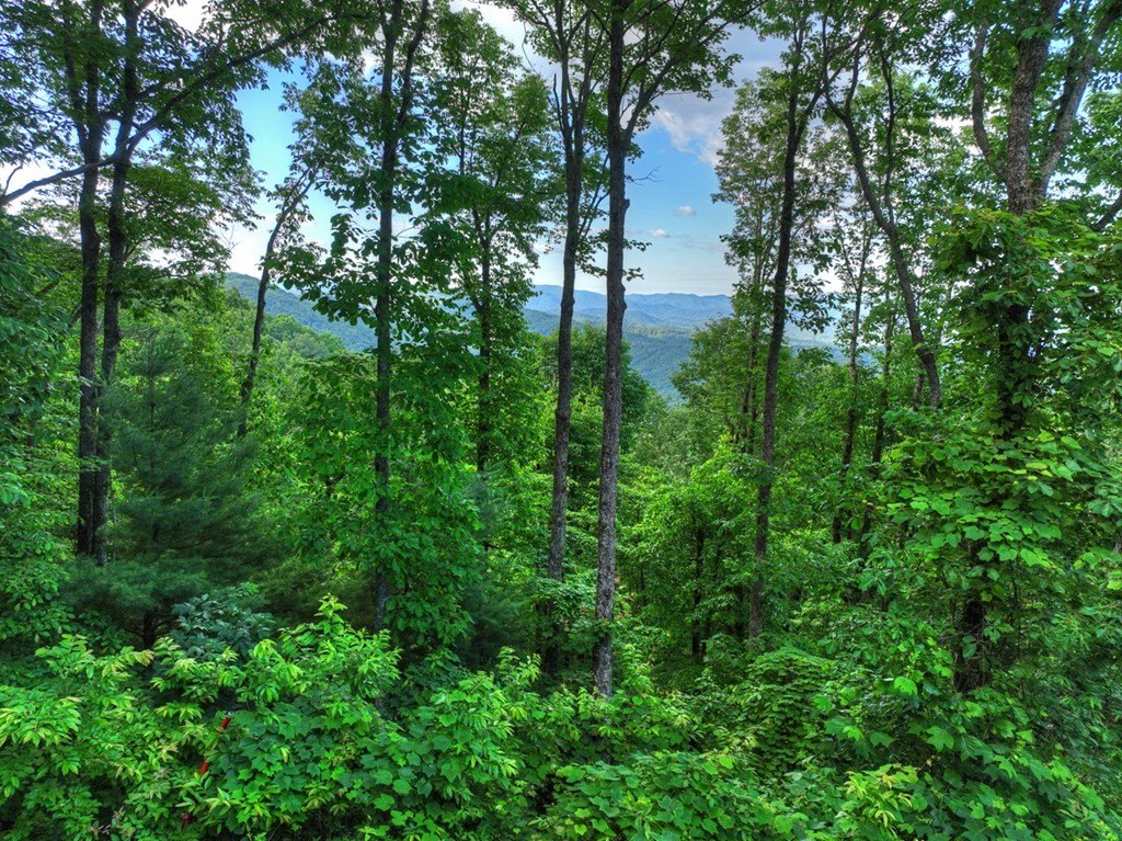 Other - 35 Utana Bluff Trails lot: 35, Ellijay, GA