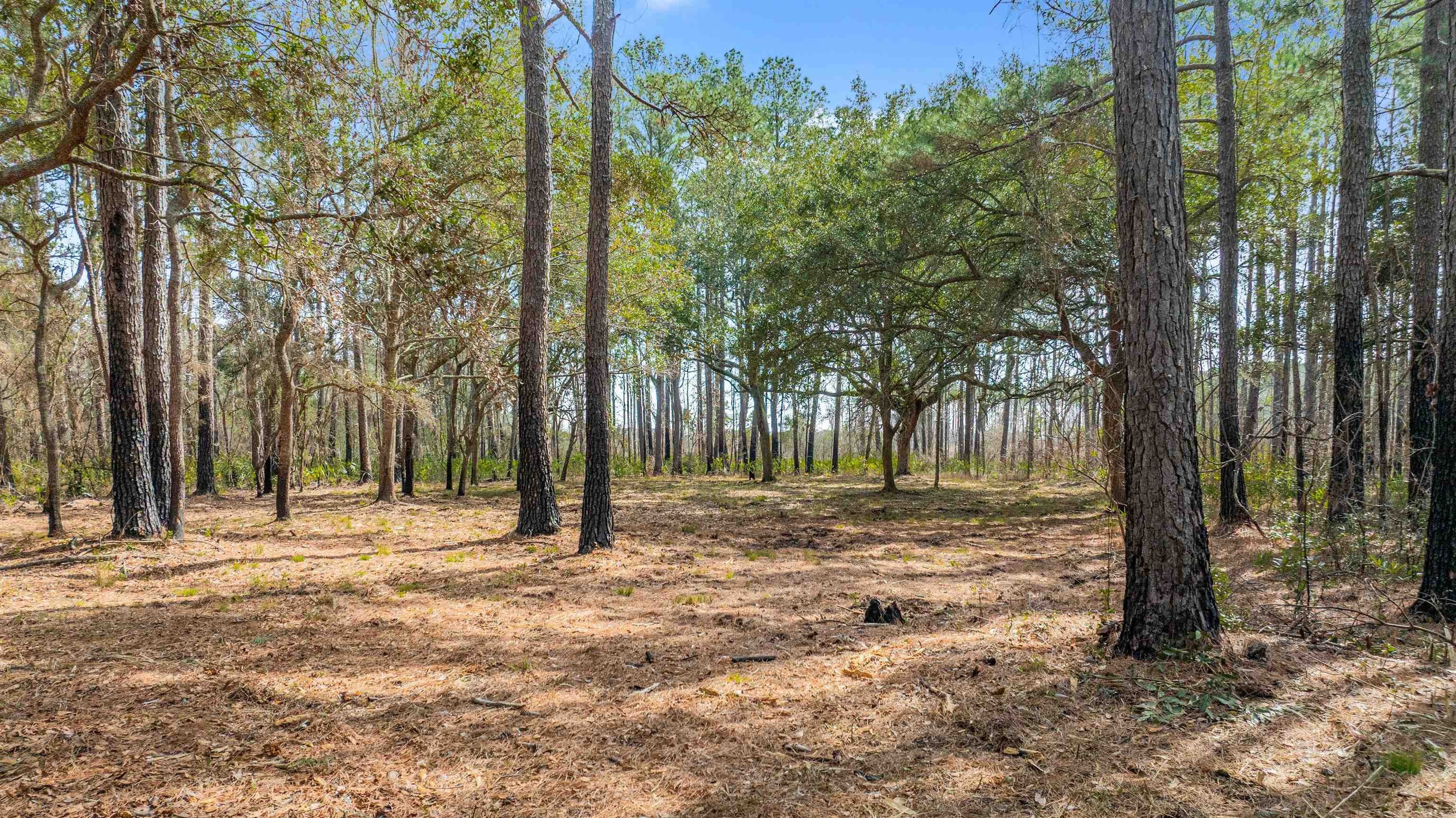 Other - 2630 Vanderbilt Blvd., Pawleys Island, SC