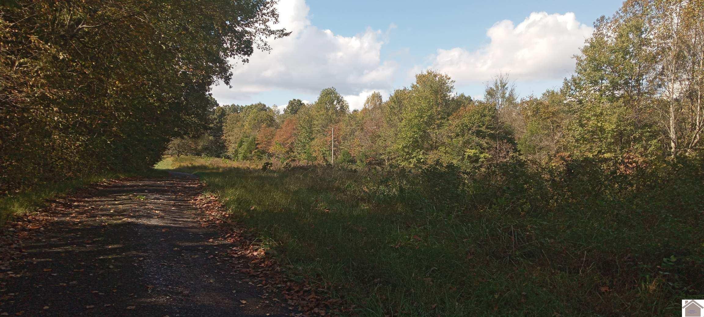 Other - 000 McNabb Creek Rd, Eddyville, KY