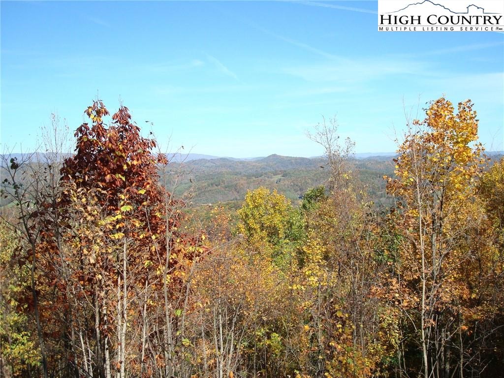 Tbd (lot 12) Mahogany Ct