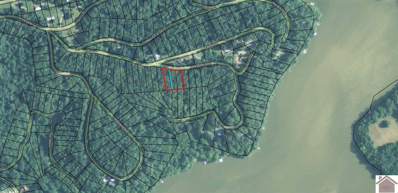 Other - 8-10K Blue Water Road, Cadiz, KY