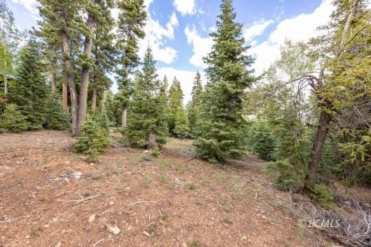 Other - 985 E Bonanza Rd, Duck Creek Village, UT