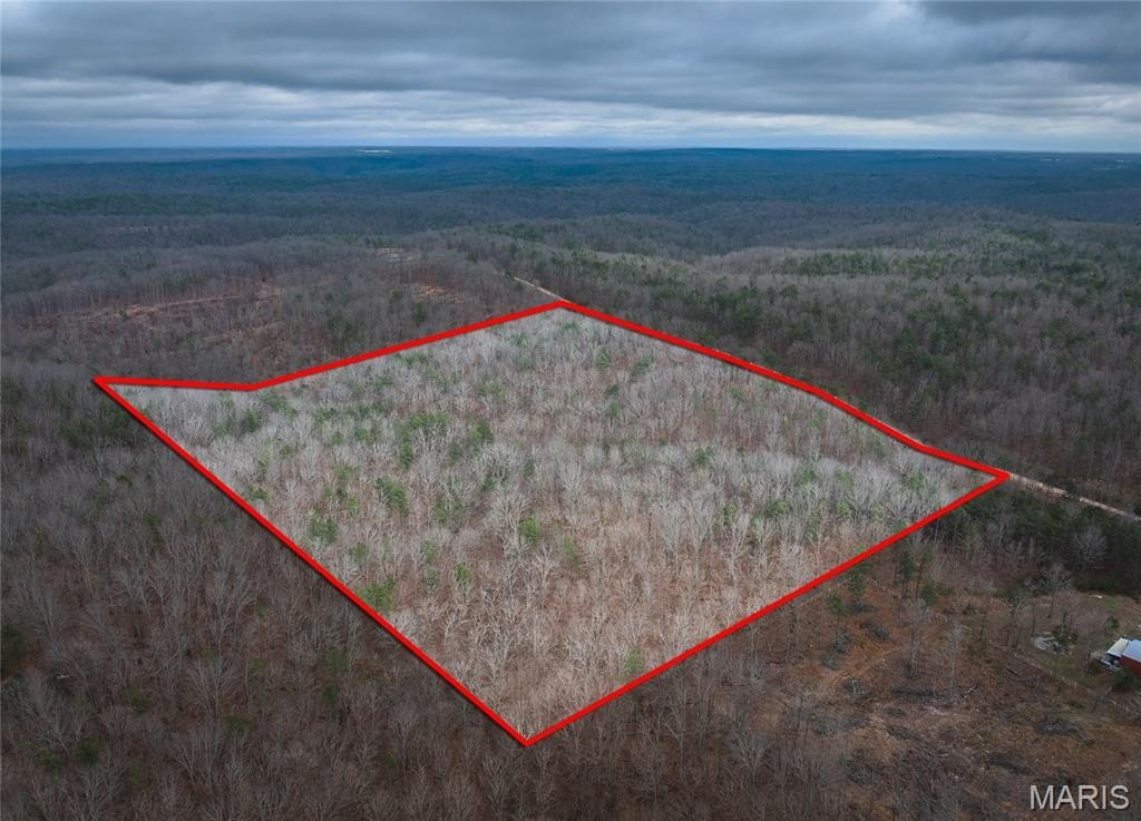 Other - 16.01 Acres Pine Meadow Trail, Raymondville, MO