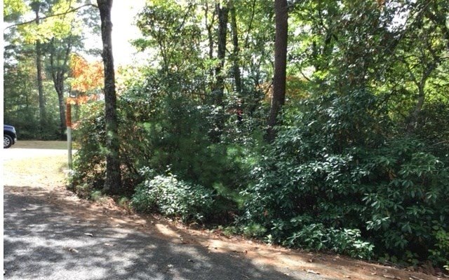Other - Lot 18 Shelton Springs Drive, Hayesville, NC