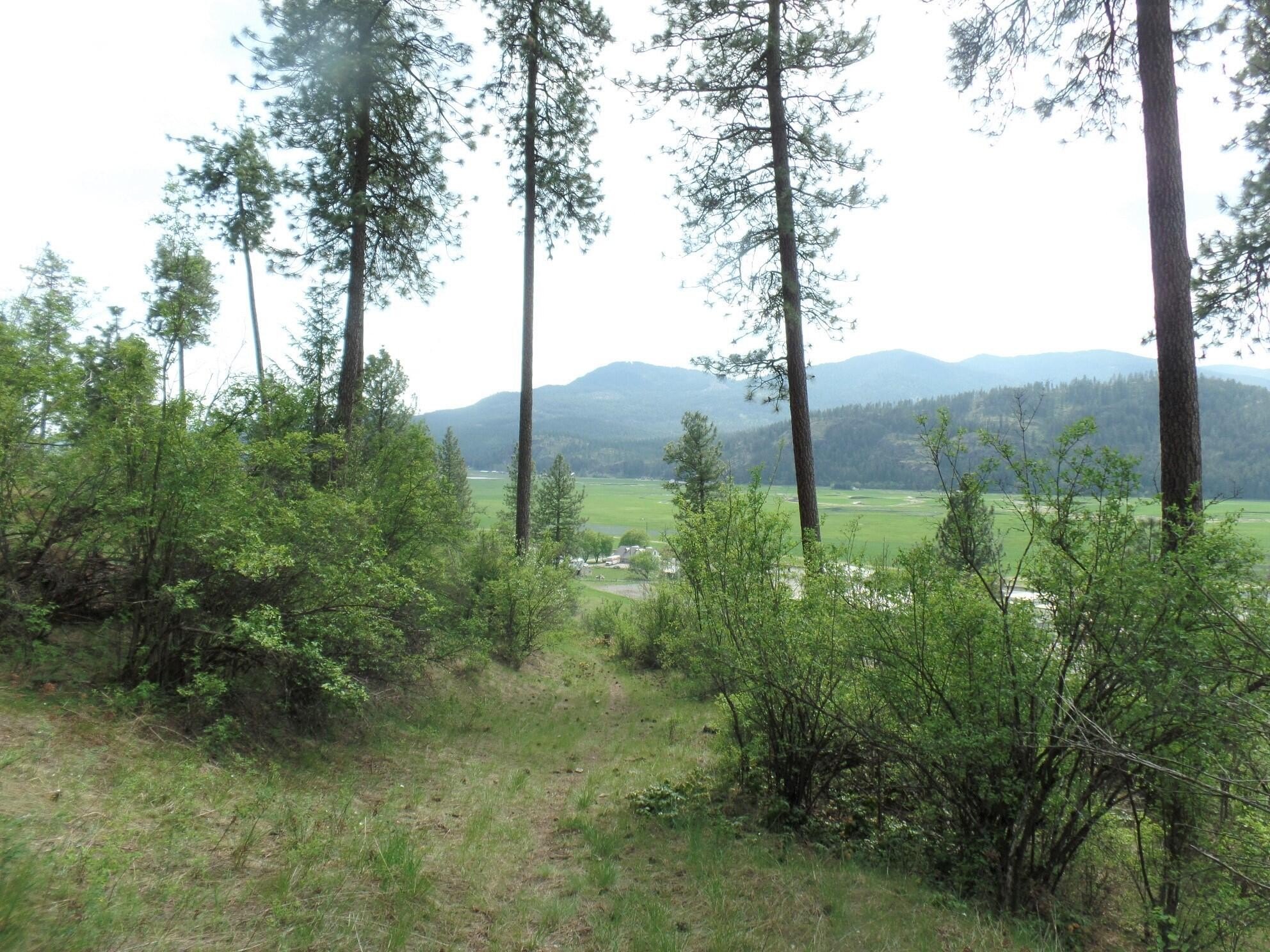 Other - 2XX HWY 395 N #A, COLVILLE, WA