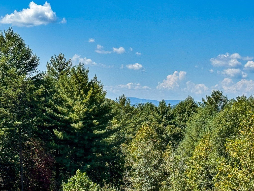Single Family 2BR 2BA - 10007 Joe Brown Hwy, Murphy, NC