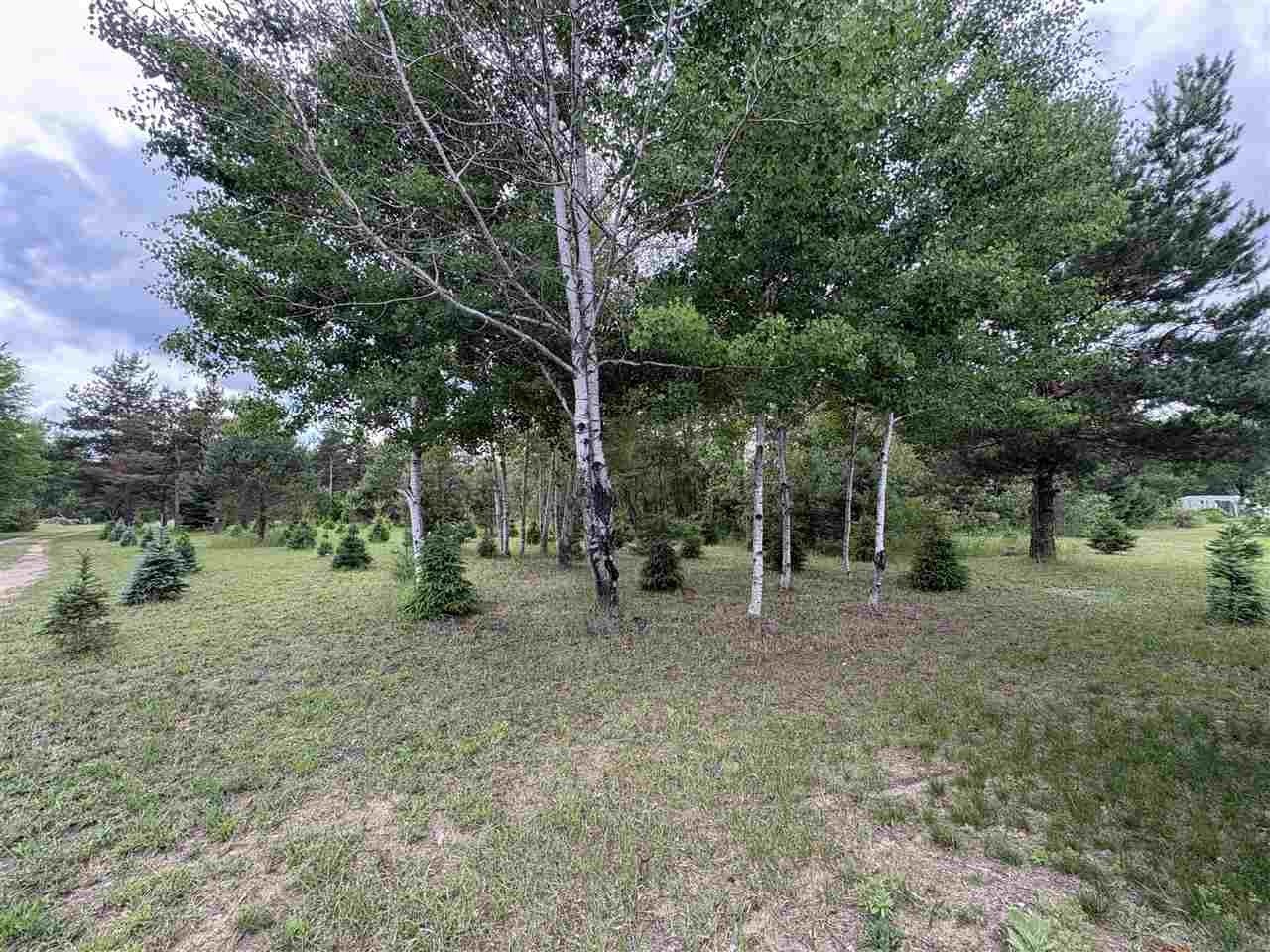 Other - 9526 Johnson Road, Mancelona, MI