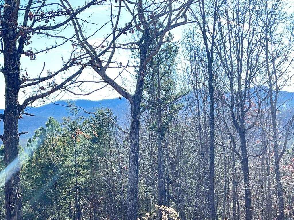 Other - Lot 9 Summit Trace, Blairsville, GA