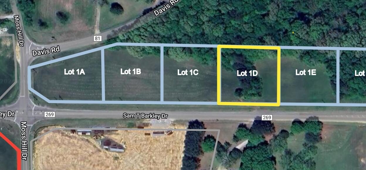 Single Family - Lot 1D Sam T Barkley Road, New Albany, MS