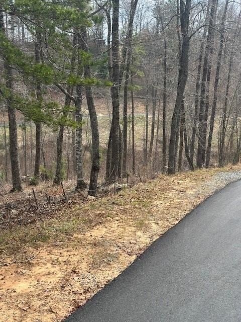 Other - Lot 195 Trails End Way, Mineral Bluff, GA