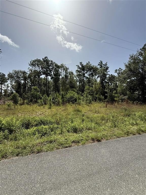 Other - 0 Newt Hodges Road, Ragley, LA