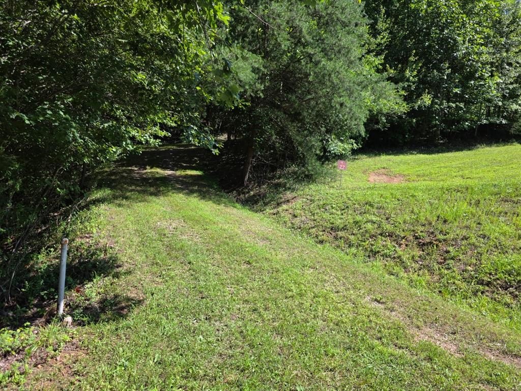 Other - Dobson Road lot: 27, Franklin, NC