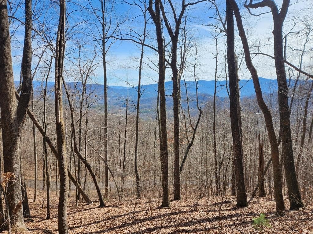 Other - #28 Overlook Loop, Young Harris, GA